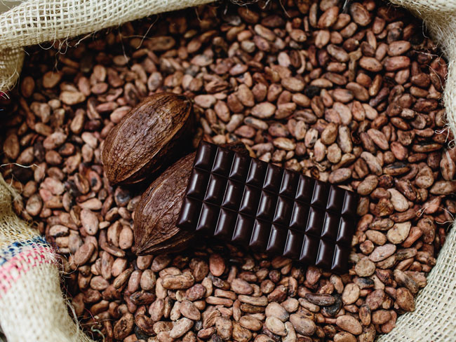 Fabrication du Chocolat : Les Étapes Fondamentales